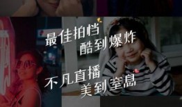 晓慧爆料视频大全集下载,揭秘幕后真相，带你走进事件核心